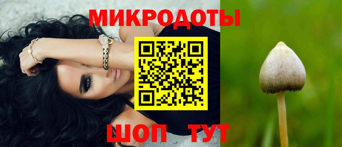 Псилоцибиновые грибы мицелий Гурьевск